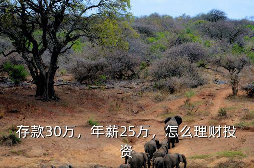 存款30萬(wàn)，年薪25萬(wàn)，怎么理財(cái)投資