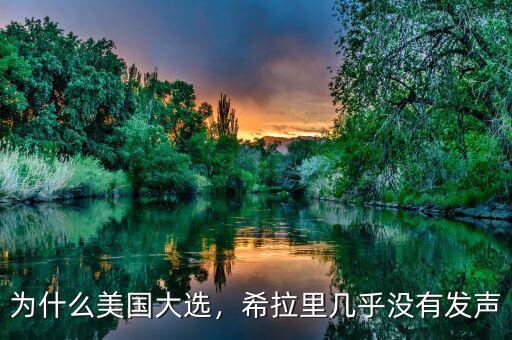 為什么美國大選，希拉里幾乎沒有發(fā)聲