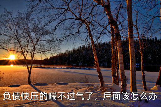 負(fù)債過(guò)大怎么辦,負(fù)債快壓的喘不過(guò)氣了
