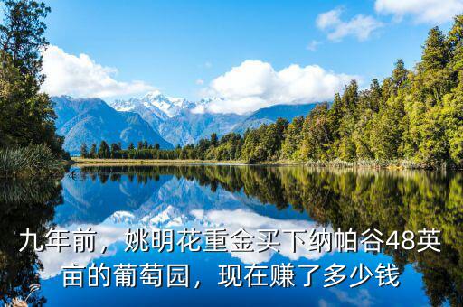 九年前，姚明花重金買下納帕谷48英畝的葡萄園，現(xiàn)在賺了多少錢