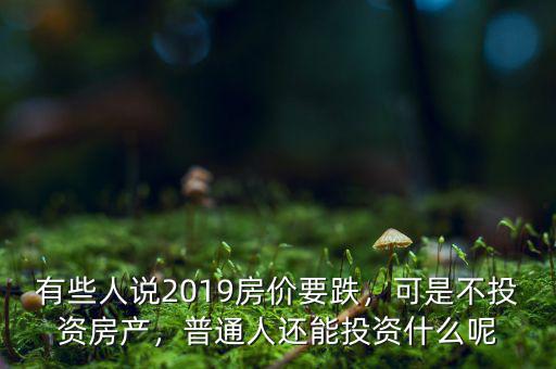有些人說2019房價(jià)要跌，可是不投資房產(chǎn)，普通人還能投資什么呢