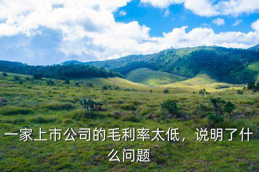 一家上市公司的毛利率太低，說明了什么問題
