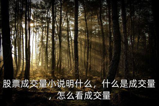 股票成交量小說明什么，什么是成交量，怎么看成交量