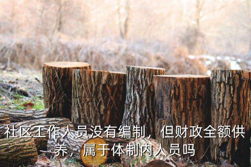 社區(qū)工作人員沒有編制，但財政全額供養(yǎng)，屬于體制內(nèi)人員嗎