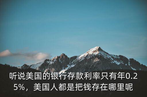 聽說美國的銀行存款利率只有年0.25%，美國人都是把錢存在哪里呢