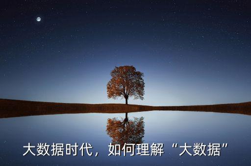 大數據時代，如何理解“大數據”