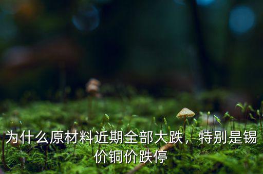 為什么原材料近期全部大跌，特別是錫價(jià)銅價(jià)跌停