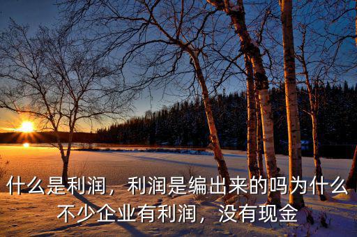 什么是利潤，利潤是編出來的嗎為什么不少企業(yè)有利潤，沒有現(xiàn)金