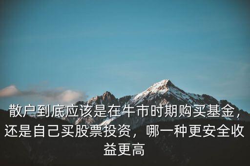 散戶到底應(yīng)該是在牛市時(shí)期購(gòu)買基金，還是自己買股票投資，哪一種更安全收益更高