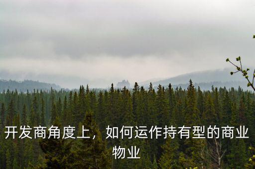 開發(fā)商角度上，如何運(yùn)作持有型的商業(yè)物業(yè)