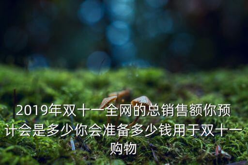 2019年雙十一全網(wǎng)的總銷售額你預(yù)計會是多少你會準備多少錢用于雙十一購物