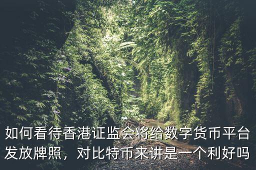 如何看待香港證監(jiān)會(huì)將給數(shù)字貨幣平臺(tái)發(fā)放牌照，對(duì)比特幣來(lái)講是一個(gè)利好嗎