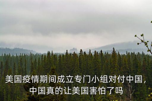 美國疫情期間成立專門小組對(duì)付中國，中國真的讓美國害怕了嗎
