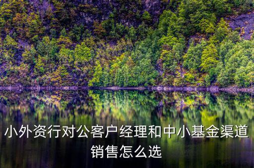 小外資行對(duì)公客戶經(jīng)理和中小基金渠道銷(xiāo)售怎么選