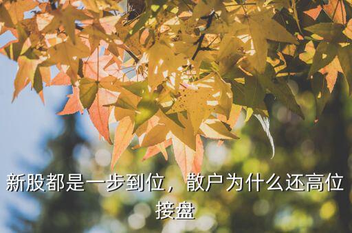 新股都是一步到位，散戶為什么還高位接盤