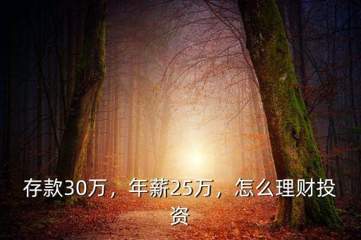 存款30萬，年薪25萬，怎么理財(cái)投資