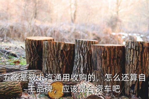 五菱是被上汽通用收購的，怎么還算自主品牌，應(yīng)該是合資車吧