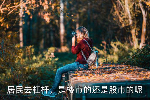 居民去杠桿，是樓市的還是股市的呢