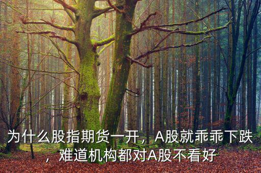 為什么股指期貨一開，A股就乖乖下跌，難道機構(gòu)都對A股不看好