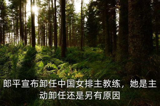 郎平宣布卸任中國女排主教練，她是主動卸任還是另有原因