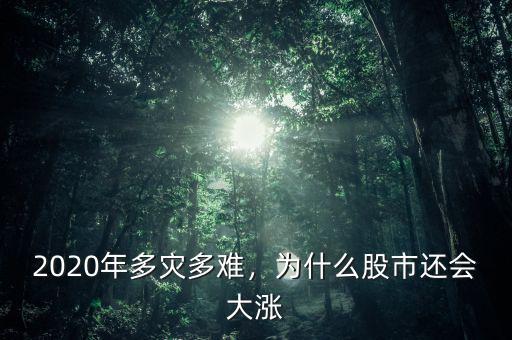 2020年多災(zāi)多難，為什么股市還會大漲