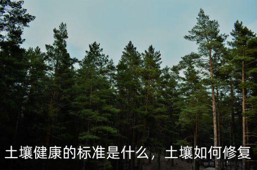 土壤健康的標(biāo)準(zhǔn)是什么，土壤如何修復(fù)