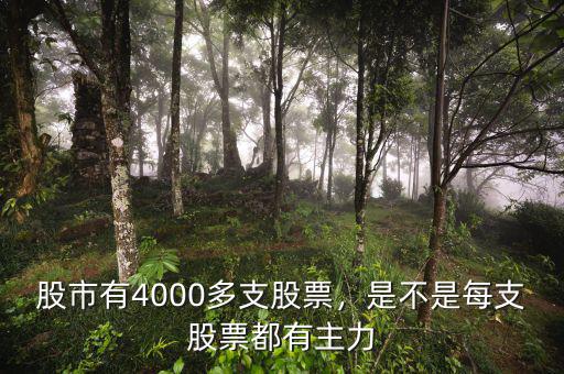 股市有4000多支股票，是不是每支股票都有主力