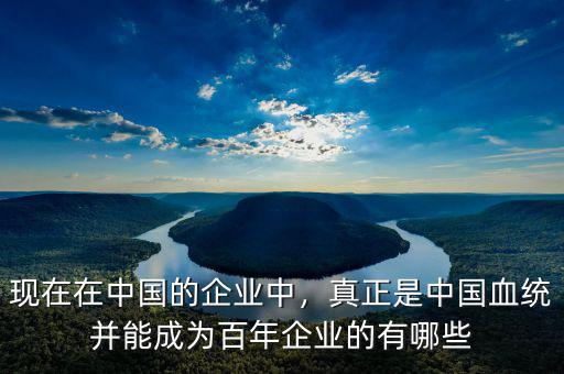 現在在中國的企業(yè)中，真正是中國血統(tǒng)并能成為百年企業(yè)的有哪些