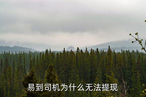易到司機為什么無法提現