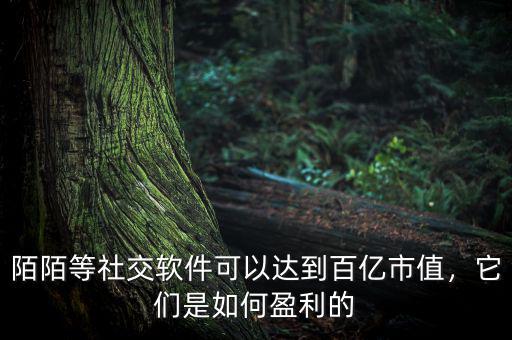 陌陌等社交軟件可以達(dá)到百億市值，它們是如何盈利的