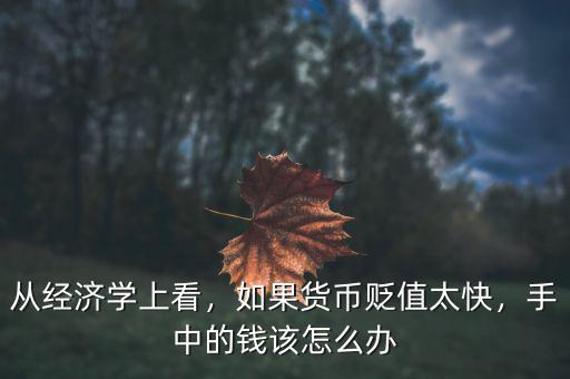 從經(jīng)濟(jì)學(xué)上看，如果貨幣貶值太快，手中的錢該怎么辦