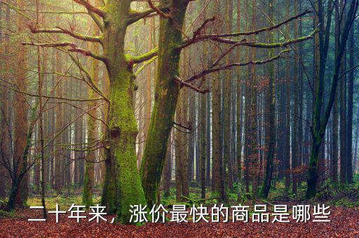 二十年來(lái)，漲價(jià)最快的商品是哪些