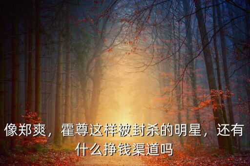 像鄭爽，霍尊這樣被封殺的明星，還有什么掙錢渠道嗎