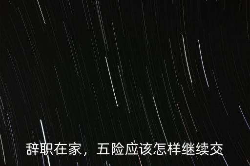 辭職在家，五險(xiǎn)應(yīng)該怎樣繼續(xù)交