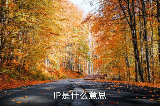 網紅ip是什么意思,成為網紅的標準是什么