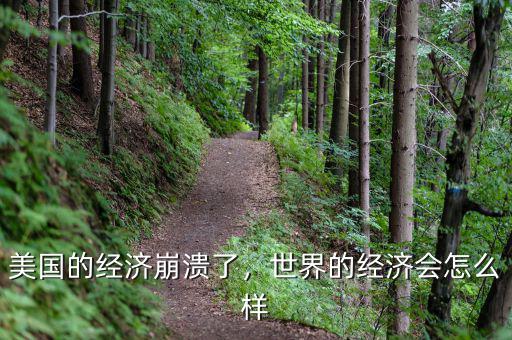 美國的經(jīng)濟崩潰了，世界的經(jīng)濟會怎么樣