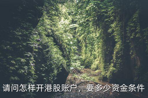 請問怎樣開港股賬戶，要多少資金條件