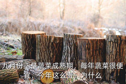 九月份正是蔬菜成熟期，每年蔬菜很便宜，今年這么貴，為什么