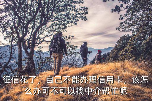 征信花了，自己不能辦理信用卡，該怎么辦可不可以找中介幫忙呢