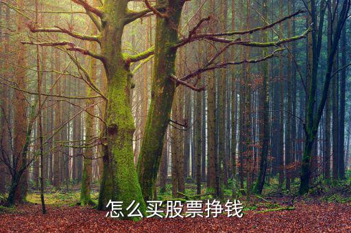 怎么買(mǎi)股票掙錢(qián)