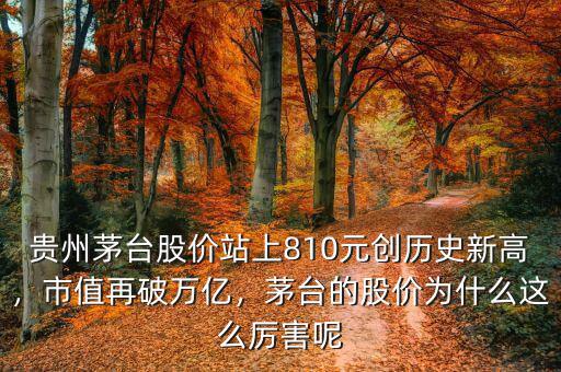 貴州茅臺股價站上810元創(chuàng)歷史新高，市值再破萬億，茅臺的股價為什么這么厲害呢