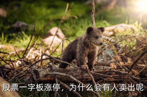 股票一字板漲停，為什么會有人賣出呢