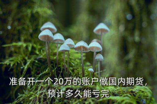 準(zhǔn)備開(kāi)一個(gè)20萬(wàn)的賬戶做國(guó)內(nèi)期貨，預(yù)計(jì)多久能虧完