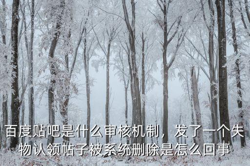 百度貼吧是什么審核機制，發(fā)了一個失物認領(lǐng)帖子被系統(tǒng)刪除是怎么回事