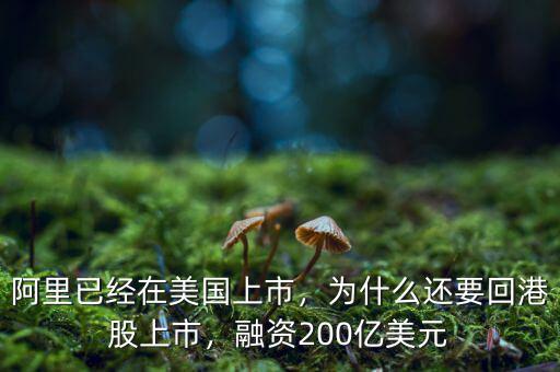 阿里已經(jīng)在美國上市，為什么還要回港股上市，融資200億美元