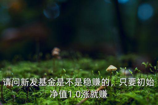 請(qǐng)問新發(fā)基金是不是穩(wěn)賺的，只要初始凈值1.0漲就賺