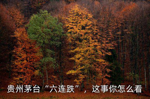 貴州茅臺(tái)“六連跌”，這事你怎么看
