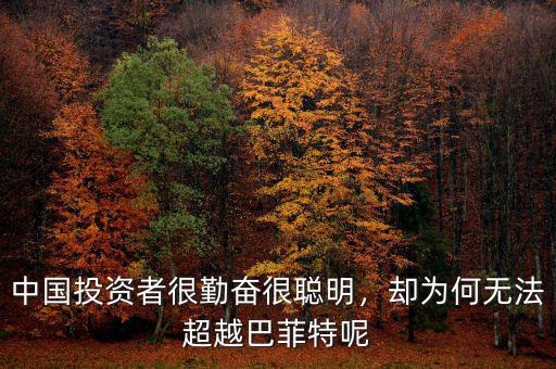 中國(guó)投資者很勤奮很聰明，卻為何無(wú)法超越巴菲特呢