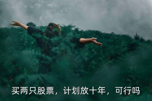 買兩只股票，計(jì)劃放十年，可行嗎