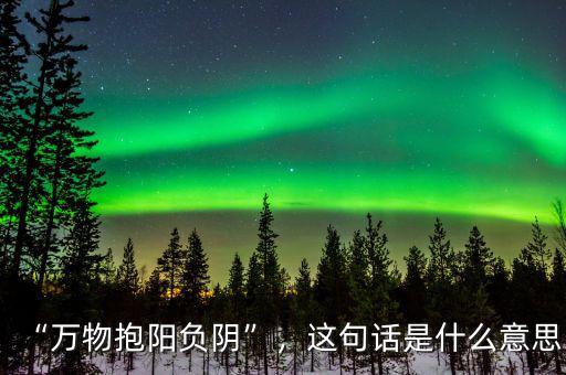 “萬物抱陽負陰”，這句話是什么意思